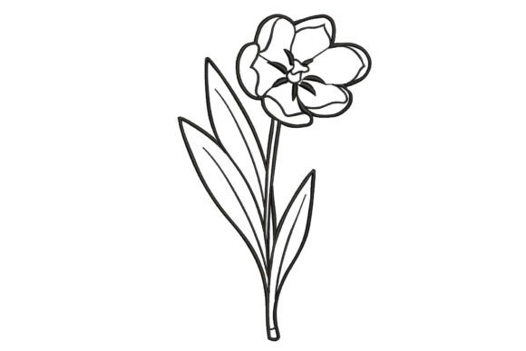 Black Flower: A Designer’s Review for Gifts