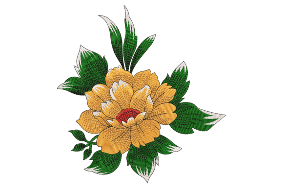 Bold Orange Peony: A Review for Boutique Apparel