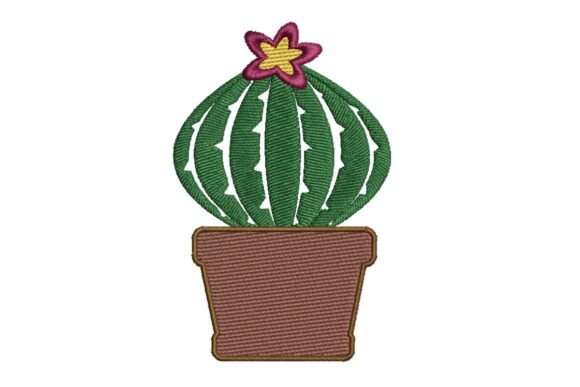 Cactus and Succulent: A Craft Fair Best-Seller Review