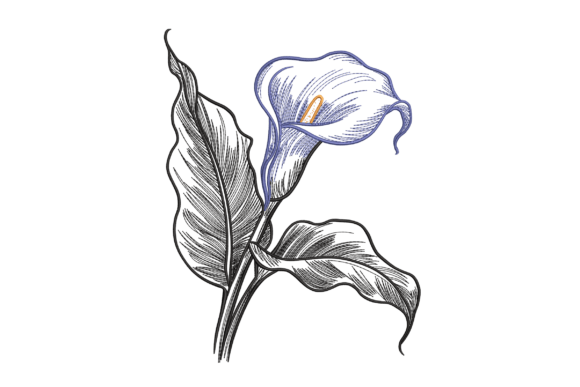 Calla Lily Sketch: A Designer Review for Business Merch