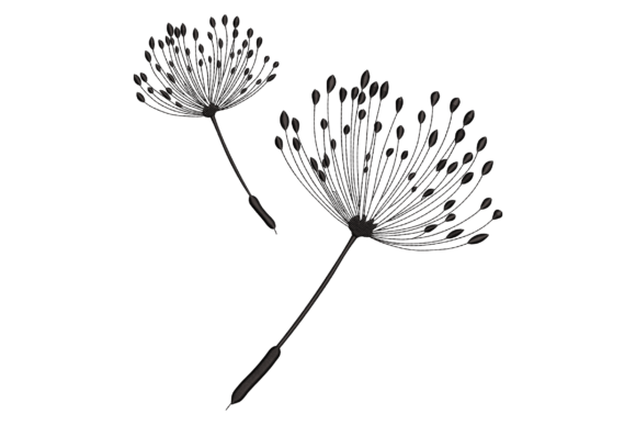 Dandelions: A Designer’s Review for Gifts