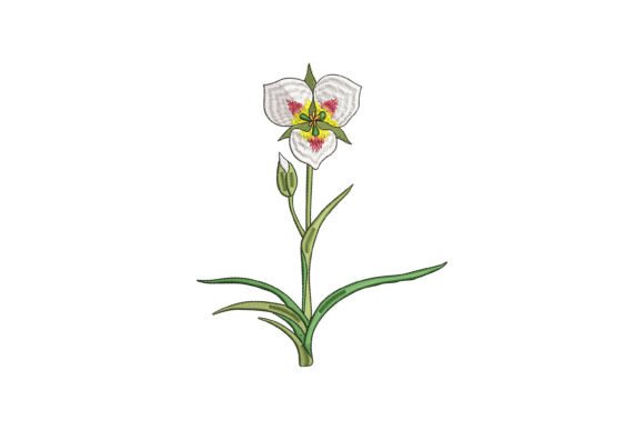 Sego Lily Bloom: A Designer Review for Business Merch