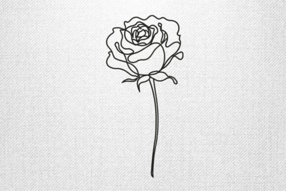Single Line Rose: A Designer’s Practical Review
