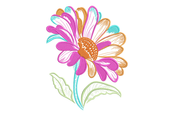 Vibrant Daisy: A Designer’s Review for Gifts